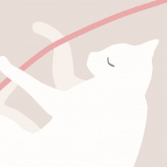 Котики, беж